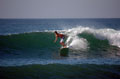 Ebert Team Surfer: Bryan Johnson